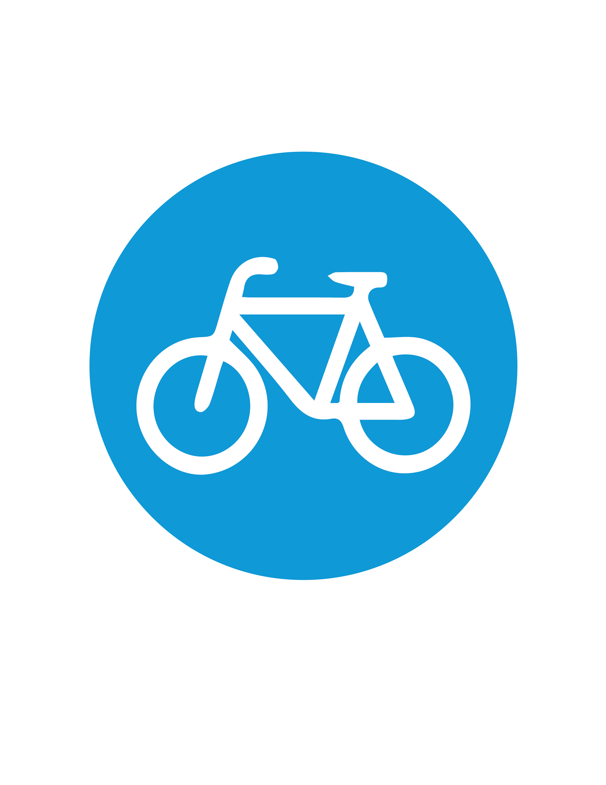 Bicycle Transportation